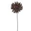 SPIDER MUM 56CM GREEN