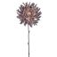 SPIDER MUM 56CM LILAC