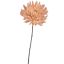 SPIDER MUM 56CM PEACH