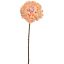 LARGE MUM 65CM PEACH