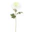 SPIDER MUM 70CM CREAM GREEN
