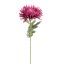 SPIDER MUM 70CM LAVENDER