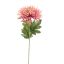 SPIDER MUM 70CM MAUVE