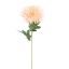 SPIDER MUM 70CM PEACH