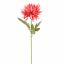 SMALL MUM 60CM BEAUTY