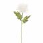 SMALL MUM 60CM CREAM