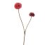 BALL MUM 80CM BEAUTY