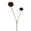 BALL MUM 80CM BURGUNDY