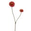 BALL MUM 80CM FLAME
