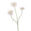 40320032-cr.jpg