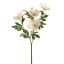 CHRISTMAS ROSE 65CM CREAM PINK