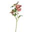 40330006-pi_0.jpg