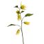 YLANG FLOWER SPRAY 76CM YELLOW