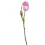 LARGE IRIS 80CM LILAC