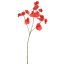 SWEET PEA SPRAY 66CM RED