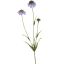 SCABIOSA SPRAY 66CM BLUE