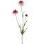 SCABIOSA SPRAY 66CM CREAM PINK