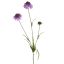 SCABIOSA SPRAY 66CM LAVENDER