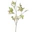 LARGE MANDRAGORA SPRAY 116CM CREAM
