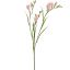 FREESIA X3 SPRAY 65CM PINK