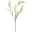 FREESIA X3 SPRAY 65CM YELLOW