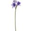DAFFODIL SPRAY 75CM BLUE