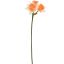 DAFFODIL SPRAY 75CM CREAM ORANGE