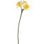 DAFFODIL SPRAY 75CM YELLOW