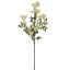 WILD LILAC BRANCH 85CM CREAM