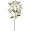 JASMIN SPRAY 60CM LIGHT BLUE
