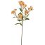 JASMIN SPRAY 60CM PEACH