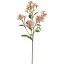 JASMIN SPRAY 60CM PINK