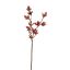RHODODENDRON SPRAY 90CM RED