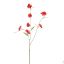 PRIMULA SPRAY 92CM CORAL