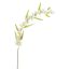 OSMANTHUS SPRAY 87CM CREAM
