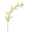 OSMANTHUS SPRAY 87CM YELLOW