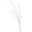 LARGE PUSSY WILLOW 122CM GREY