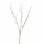 PUSSY WILLOW 80CM GREY