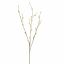 PUSSY WILLOW 80CM YELLOW