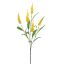 VERONICA 70CM YELLOW