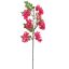 SOPHORA BRANCH 90CM BEAUTY