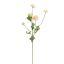 POMPOM BRANCH 60CM VANILLA