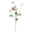 POMPOM BRANCH 60CM PINK
