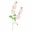 RAPESEED FLOWER 85CM BEAUTY
