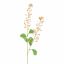 RAPESEED FLOWER 85CM PEACH