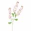 RAPESEED FLOWER 110CM BEAUTY