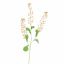 RAPESEED FLOWER 110CM PEACH