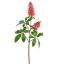 CHESTNUT FLOWER 95CM BEAUTY