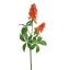 CHESTNUT FLOWER 95CM CORAL
