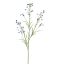 MINI NICOTIANA 110CM BLUE
